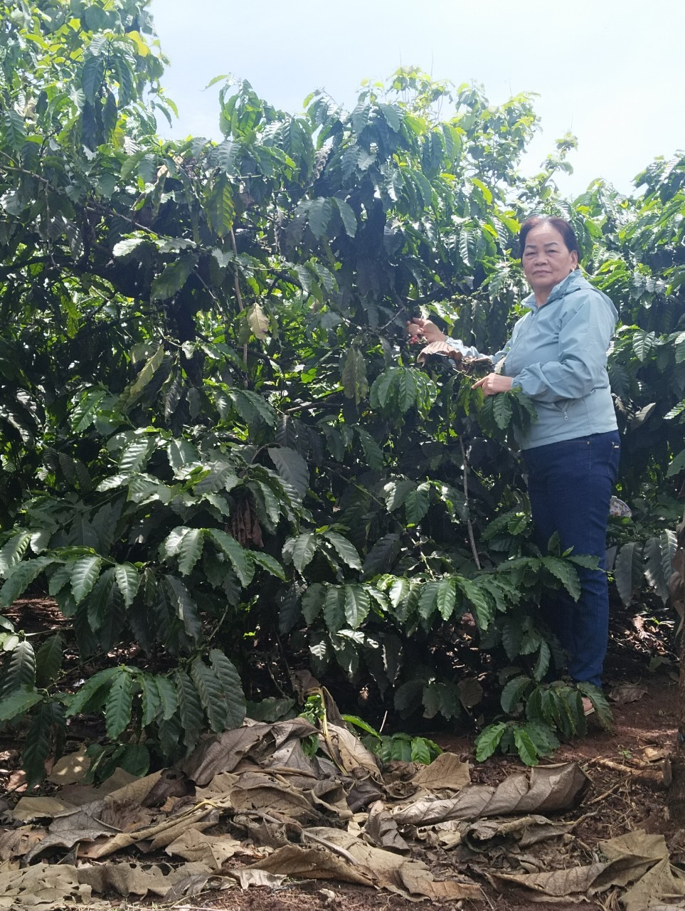 Gương chi hội trưởng nhiệt tình trong công tác Hội, kiêm tổ trưởng tổ tiết kiệm và vay vốn tâm huyết với công việc